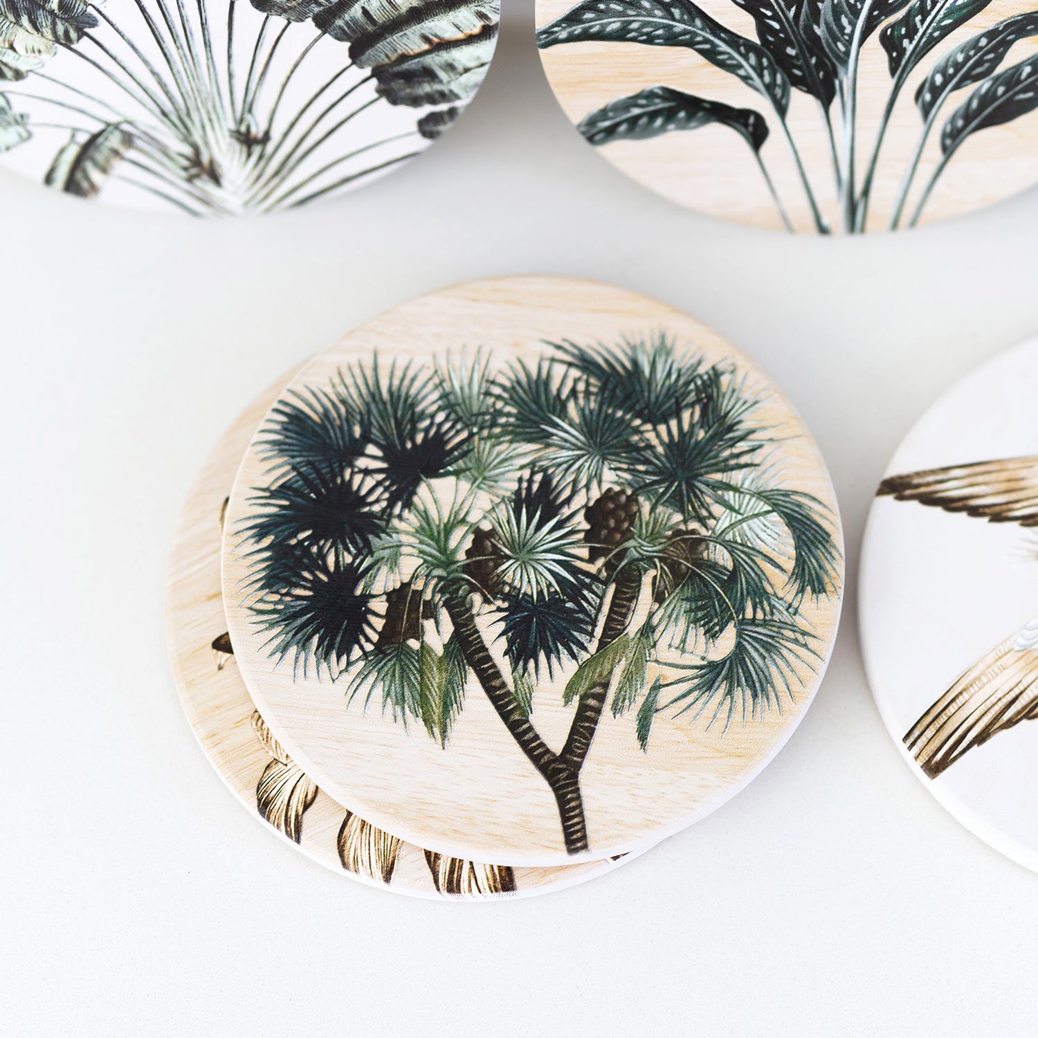 Splosh - Exotic - Ceramic Coaster - Yucca