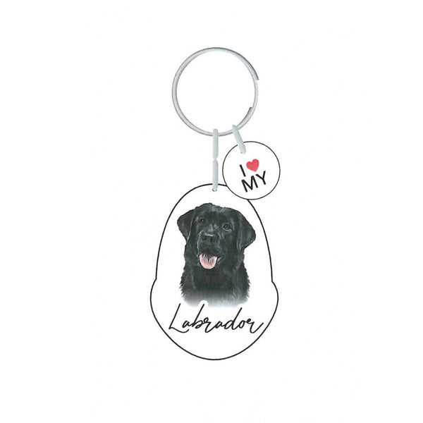 This cute Black Labrador Keychain is the perfect way to celebrate your love for your pet! Whether for yourself of as a gift for the ultimate dog lover. This Keychain is one of 32 dog breeds featured in the Pets Keyring collection.
Dimentions Approx: 5.5 x 4 x 01