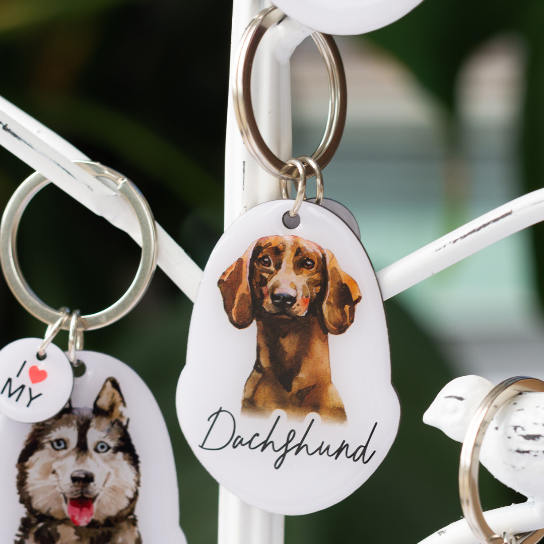 Splosh Pet Keyring - Dachshund