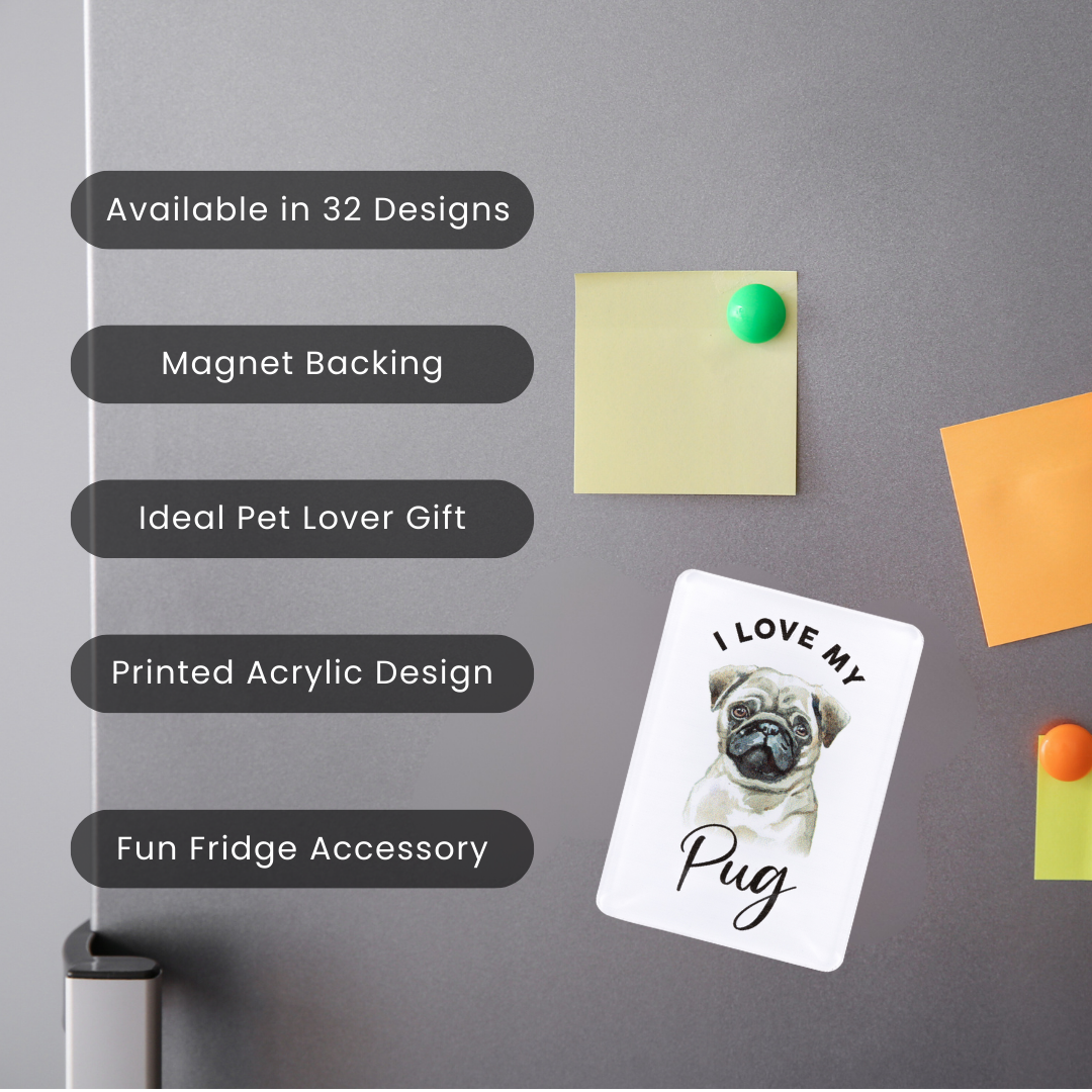 Splosh - Pet Magnet - Pug
