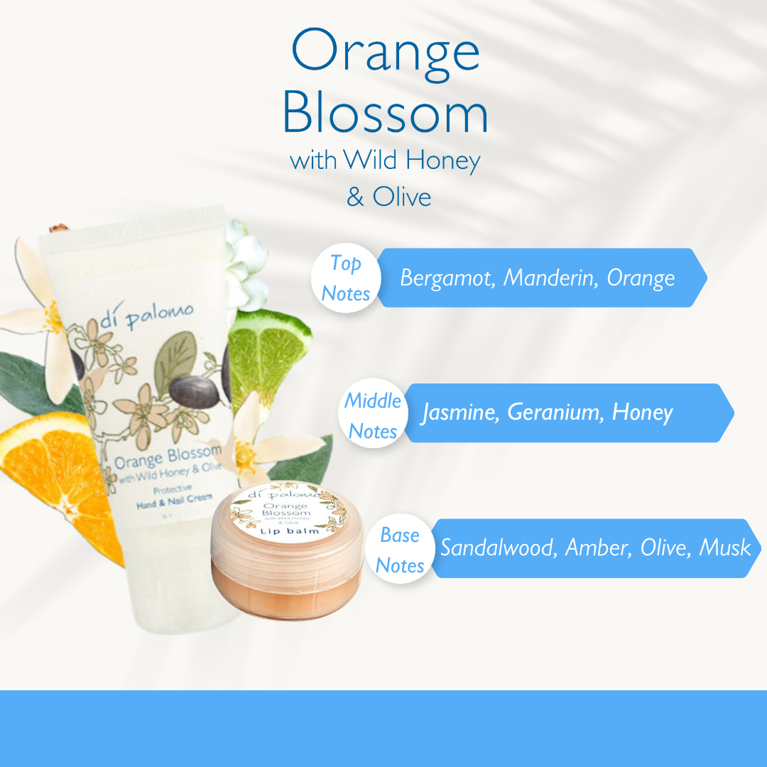 Di Palomo - Handbag Essential Set - Orange Blossom