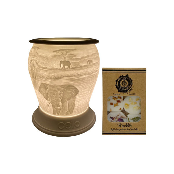 Cello - Elephant Barrel Porcelain Electric Melt Burner with Naked Cello Melts (Muddle)