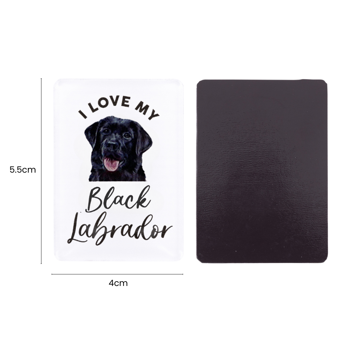 Splosh - Pet Magnet - Black Labrador