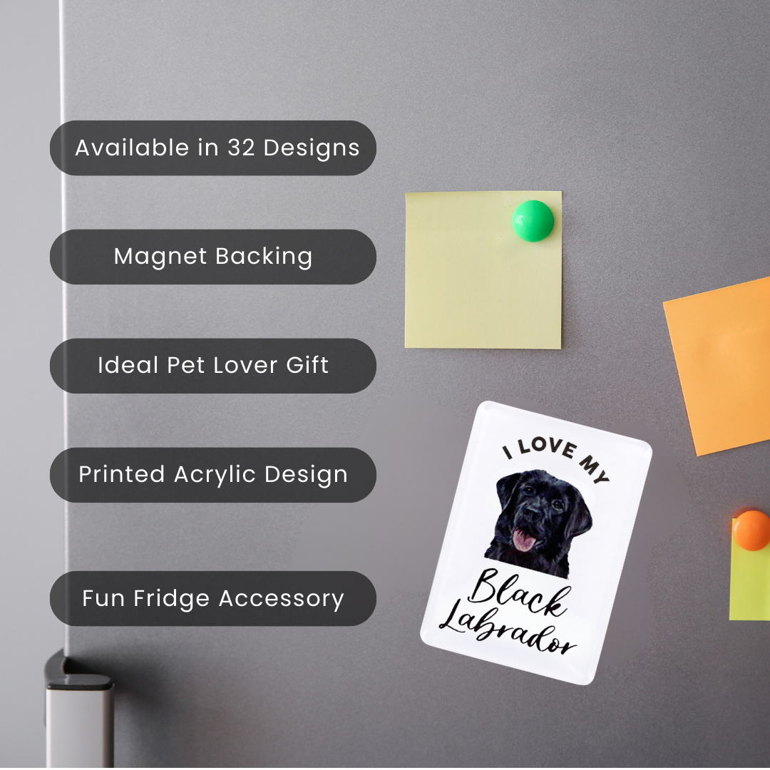 Splosh - Pet Magnet - Black Labrador
