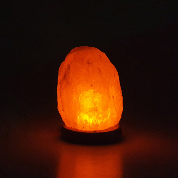 The Salt of Life - Himalayan Salt Lamp Natural USB