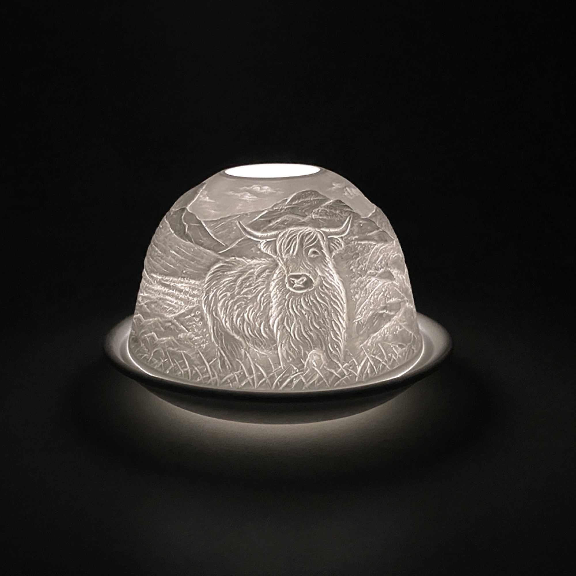 Cello - Tealight Dome - Highland Cow