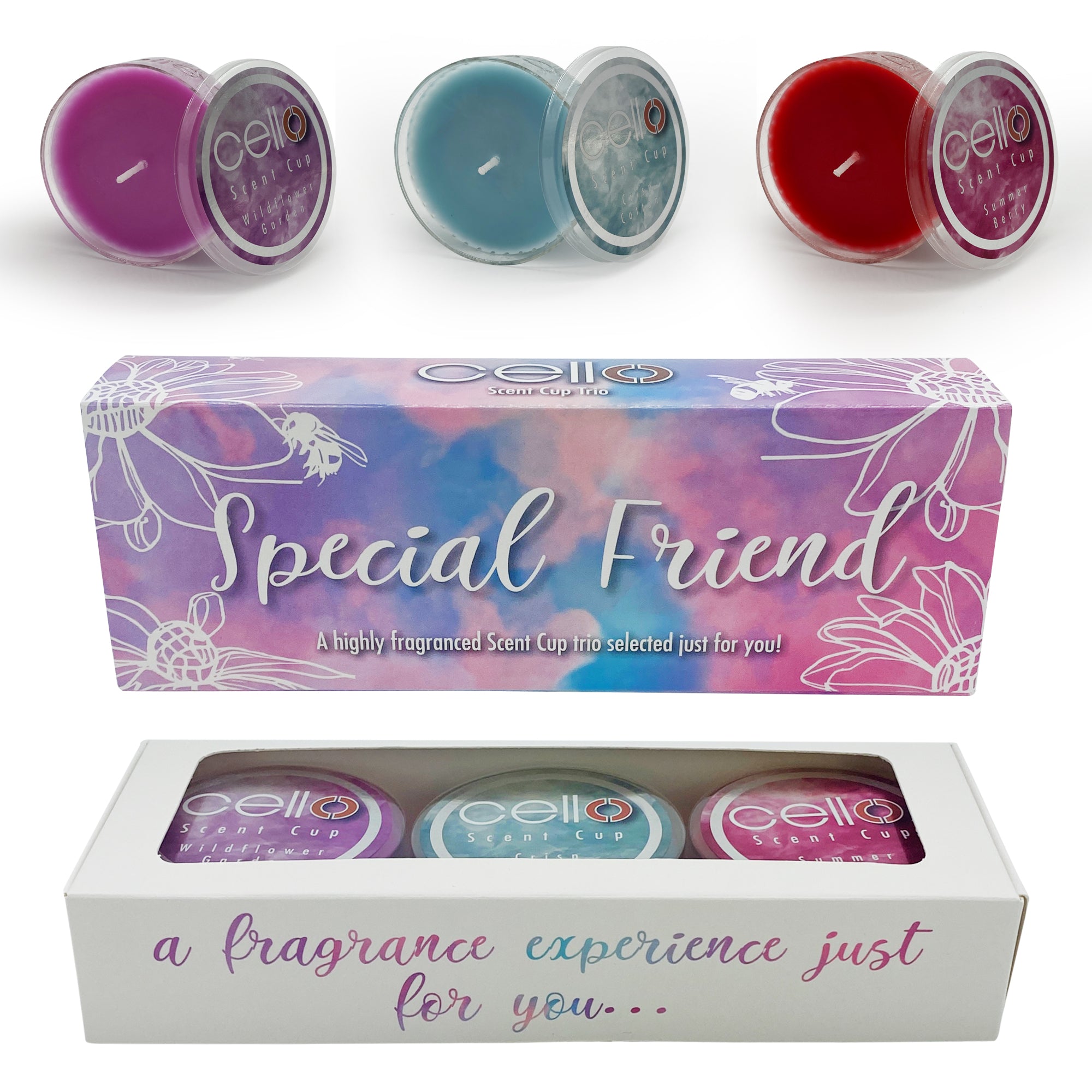 Cello - Scent Cup Trio - Special Friend