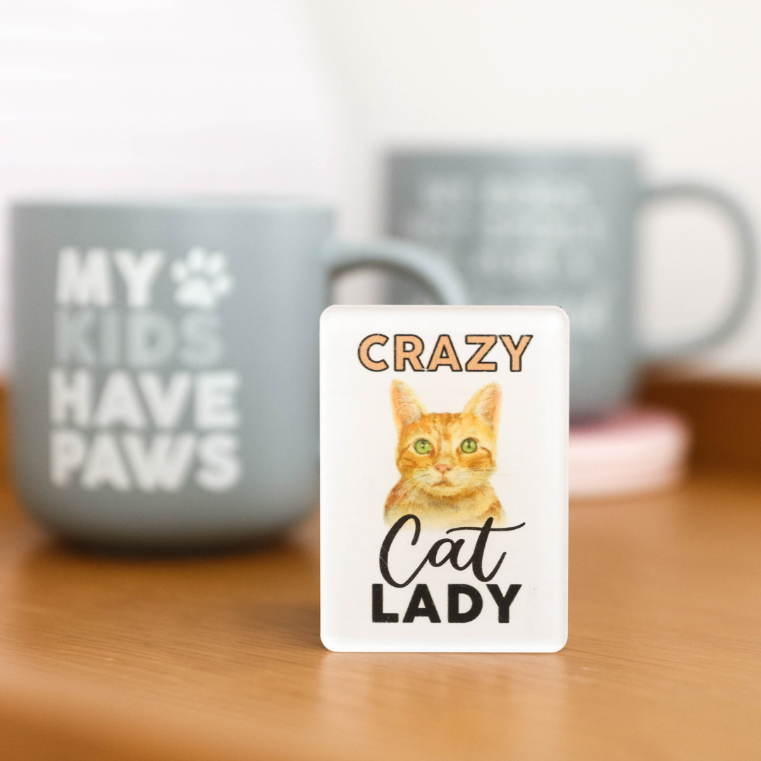 Splosh - Pet Magnet - Crazy Cat Lady