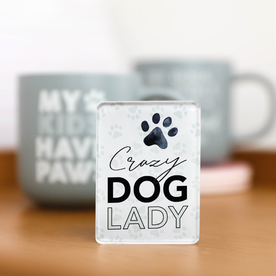 Splosh - Pet Magnet - Crazy Dog Lady