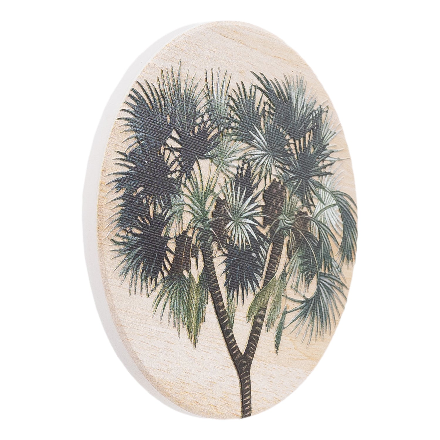 Splosh - Exotic - Ceramic Coaster - Yucca
