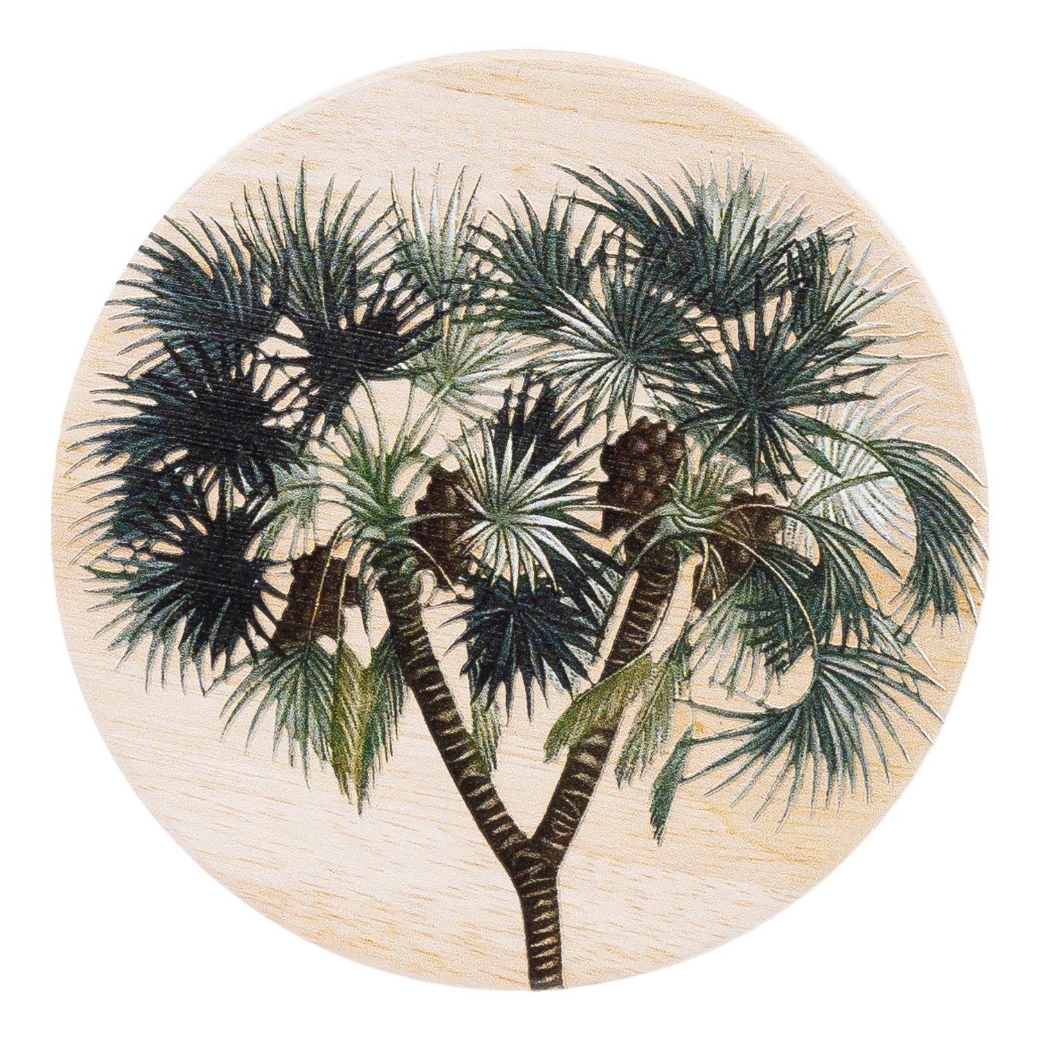 Splosh - Exotic - Ceramic Coaster - Yucca