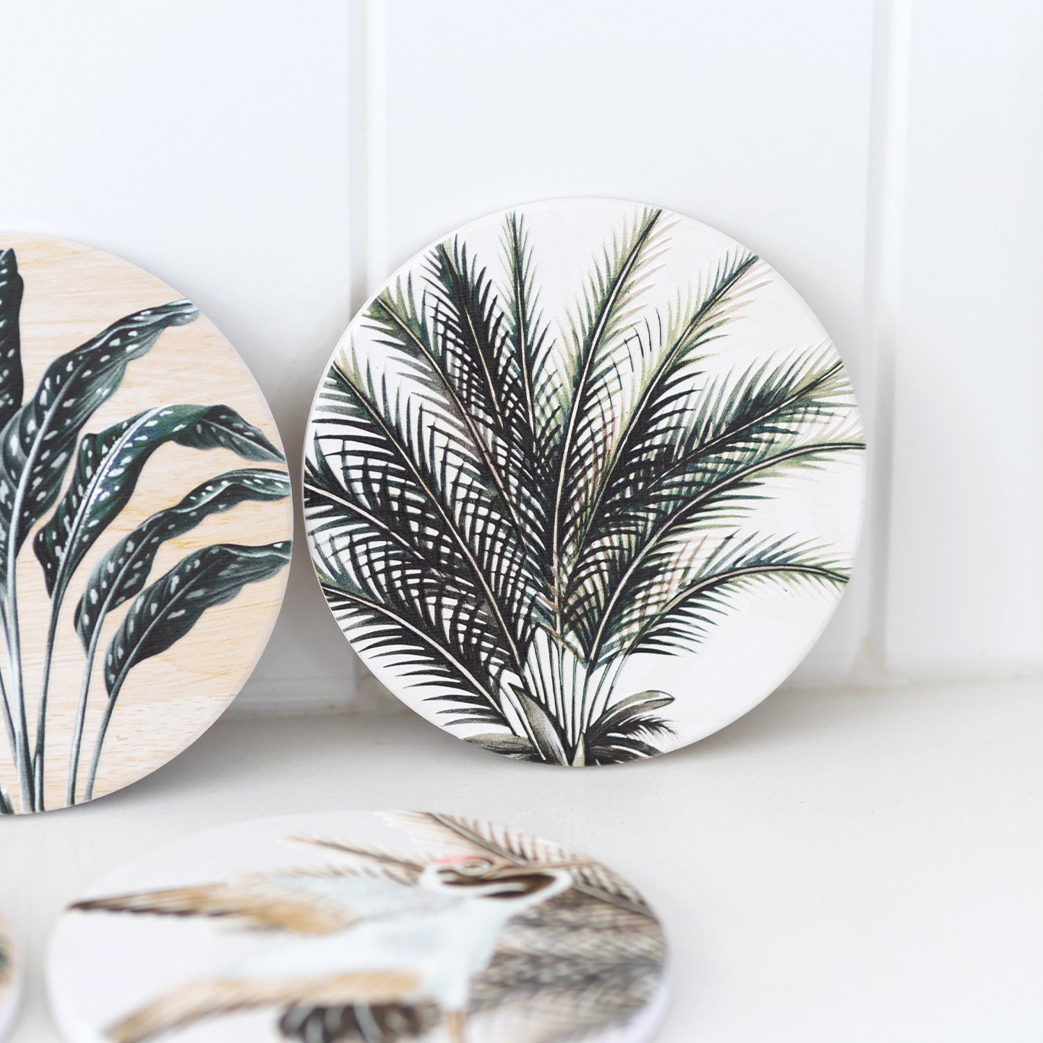 Splosh - Exotic - Ceramic Coaster - Palm