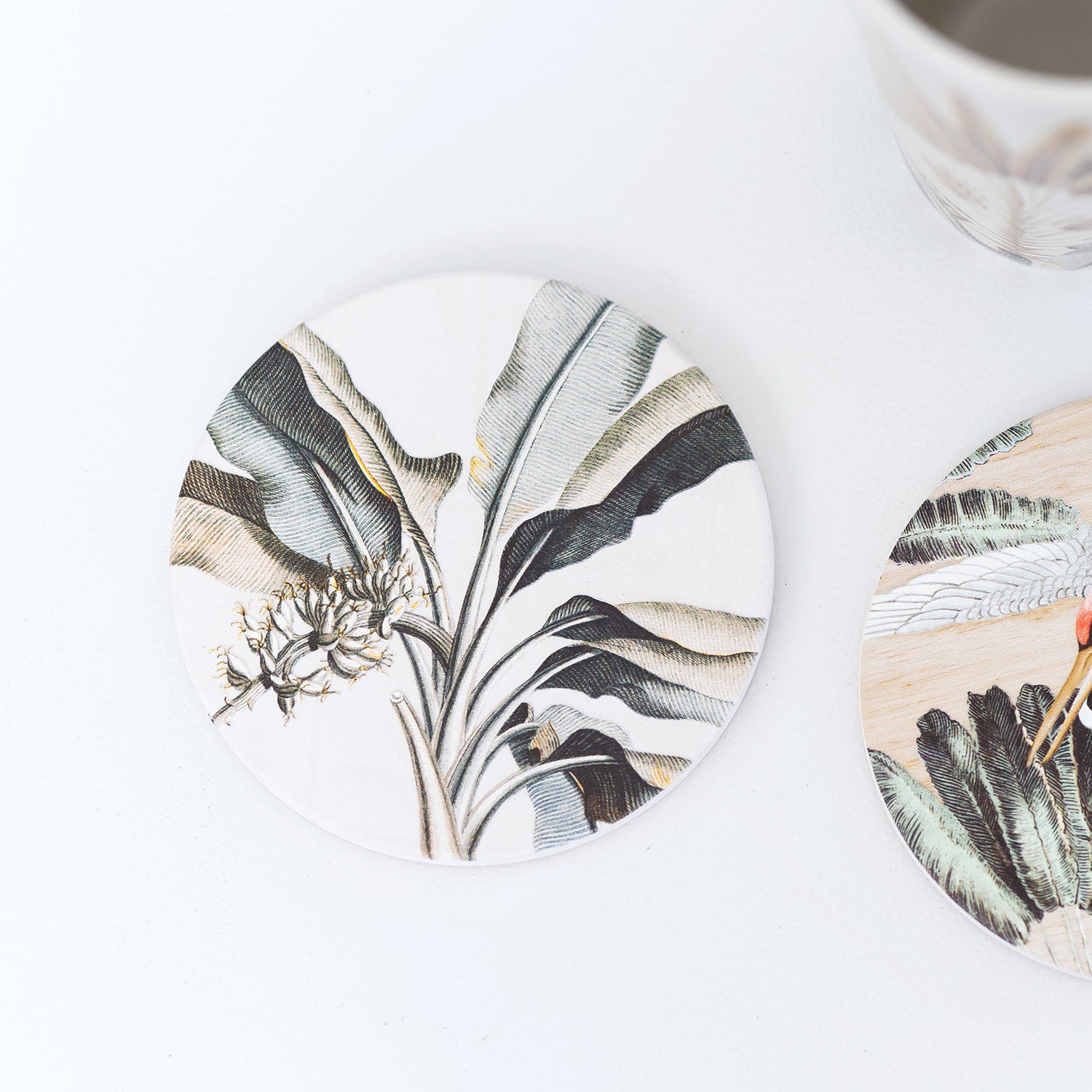 Splosh - Exotic - Ceramic Coaster - Banana Palm