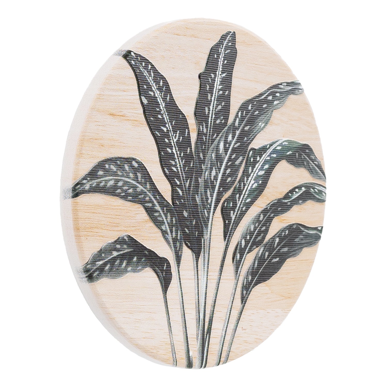 Splosh - Exotic - Ceramic Coaster - Fern