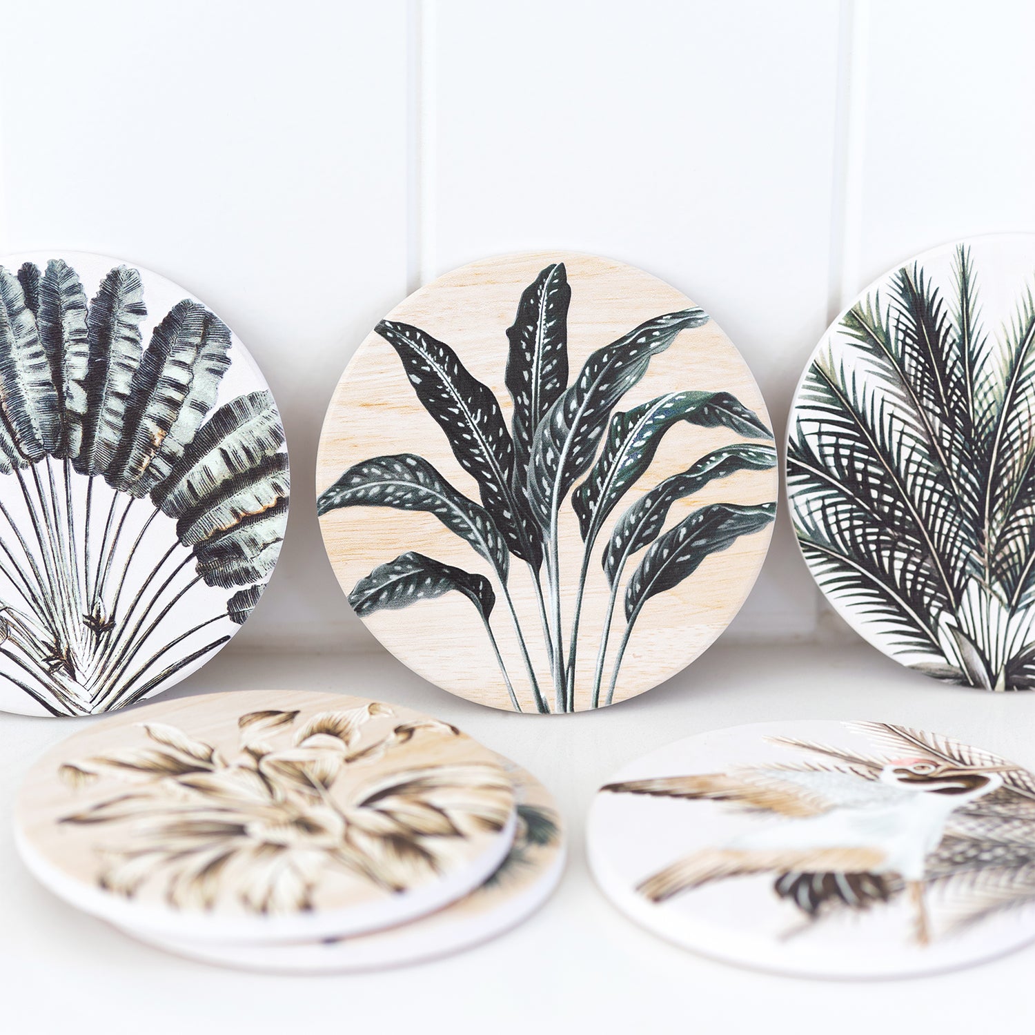 Splosh - Exotic - Ceramic Coaster - Fern