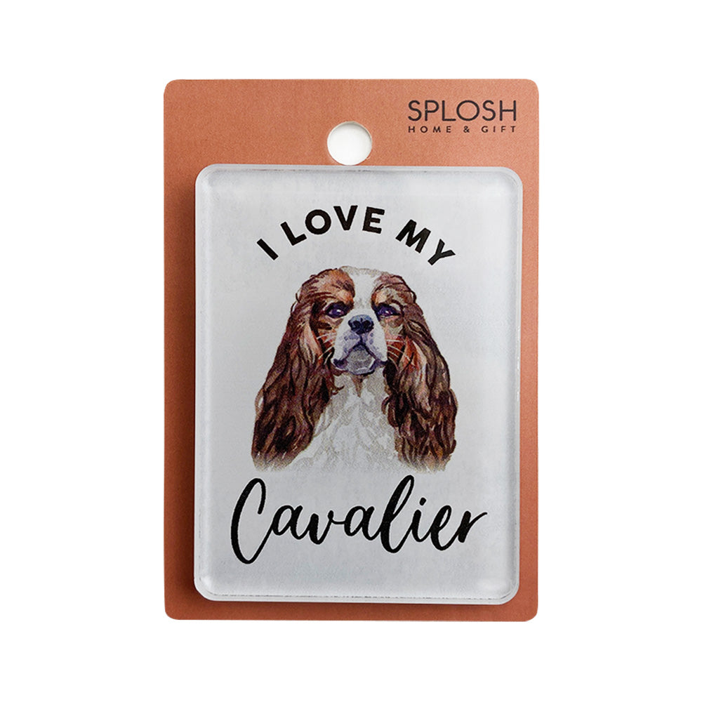 Splosh - Pet Magnet - Cavalier