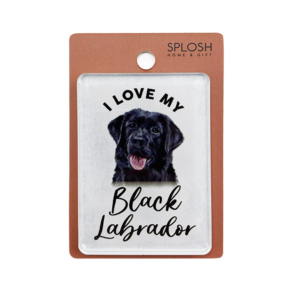 Splosh - Pet Magnet - Black Labrador
