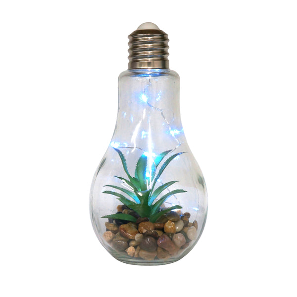Cello Succulents - Lightbulb with LEDs