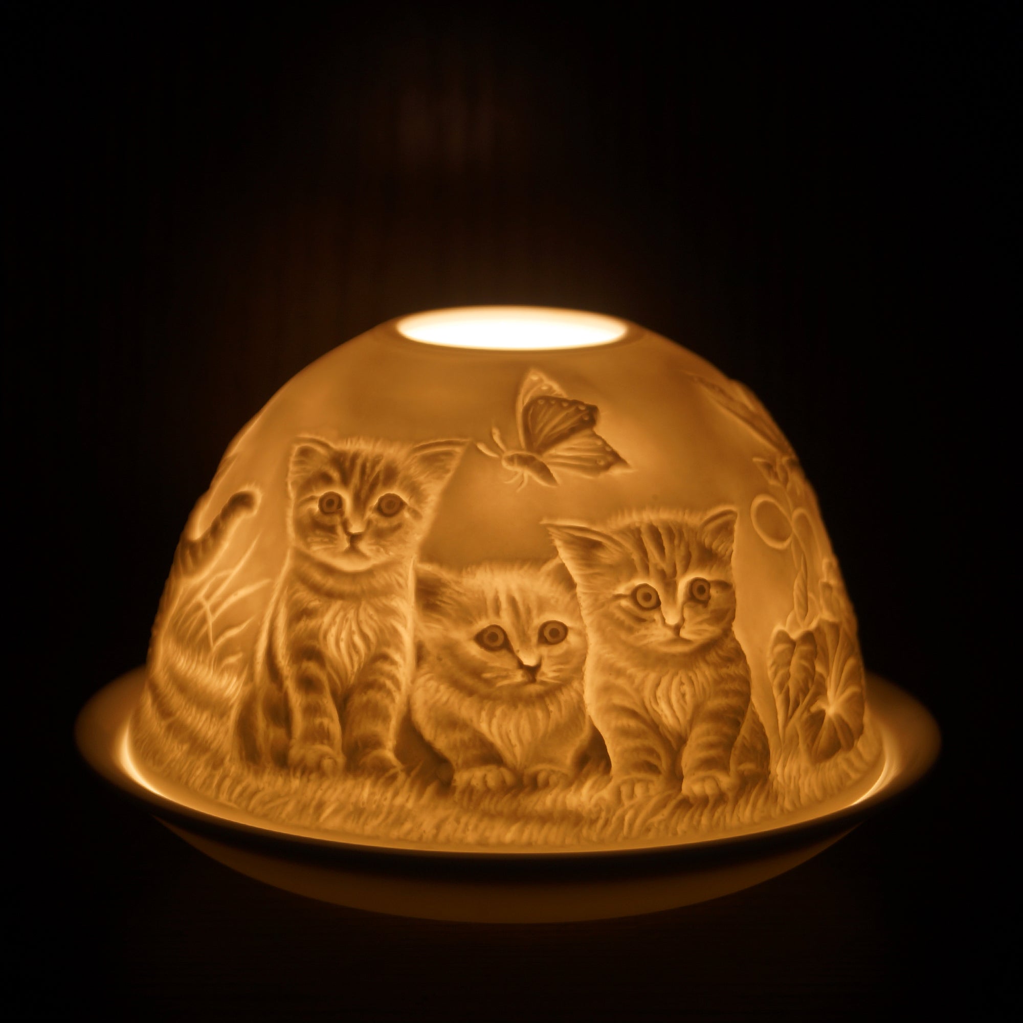 Cello - Tealight Dome - Kittens