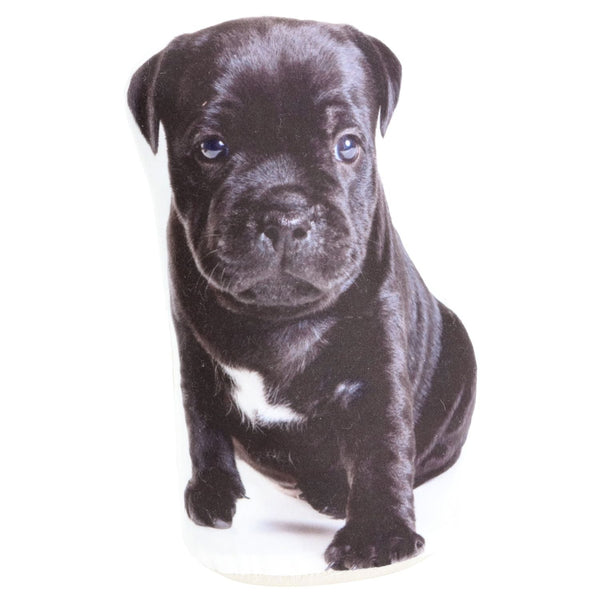 Splosh Adopt a Doorstop Puppies - Buddy
