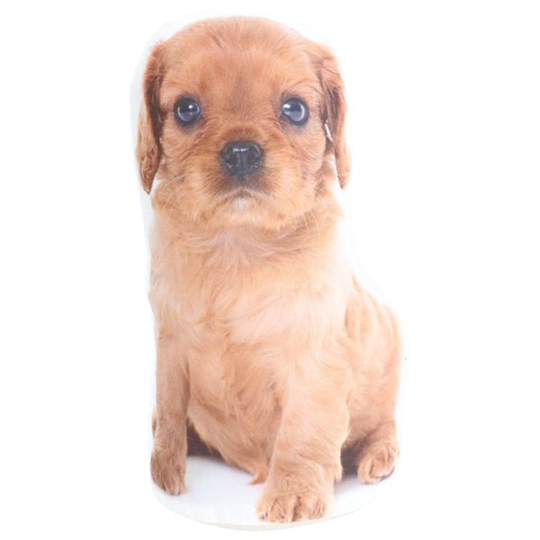 Splosh Adopt a Doorstop Puppies - Ruby