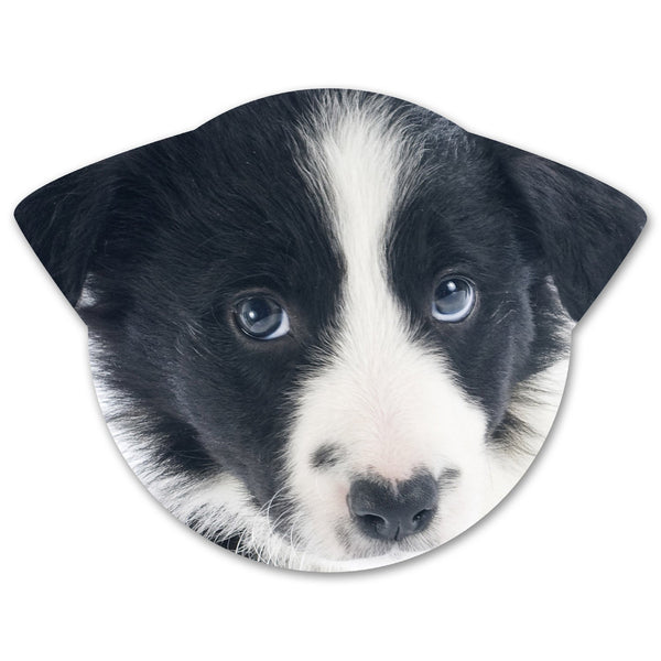 Splosh Puppy Coaster - Lucy