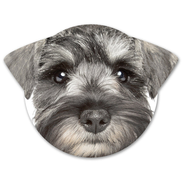 Splosh Puppy Coaster - Rosie