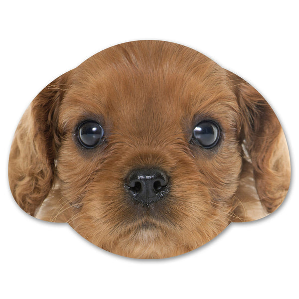 Splosh Puppy Coaster - Ruby