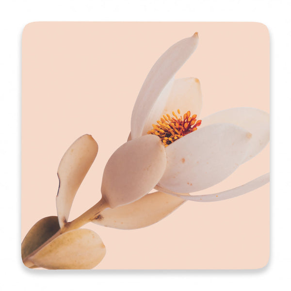 Splosh Flourish Ceramic Coaster - Pink Flower