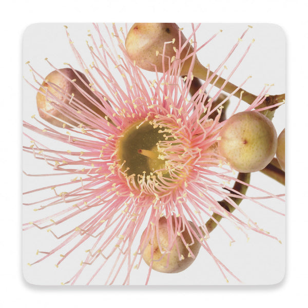 Splosh Flourish Ceramic Coaster - Pink Floral