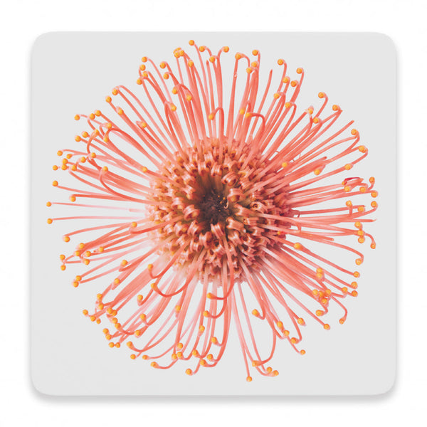 Splosh Flourish Ceramic Coaster - Red Flourish