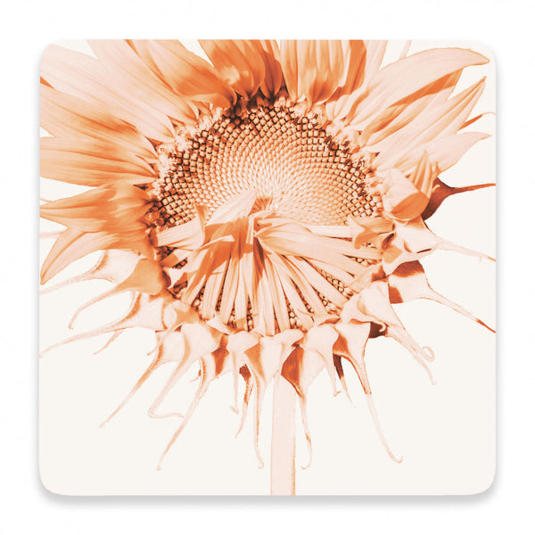 Splosh Flourish Ceramic Coaster - Sunflower