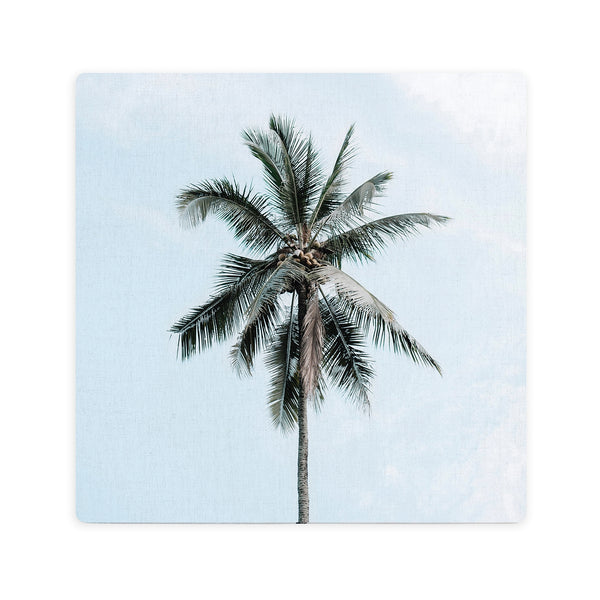 Splosh - Tranquil - Coaster - Palm